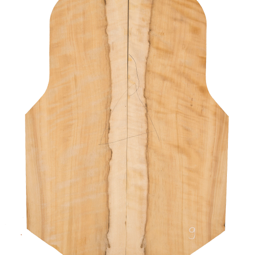 Anteprima